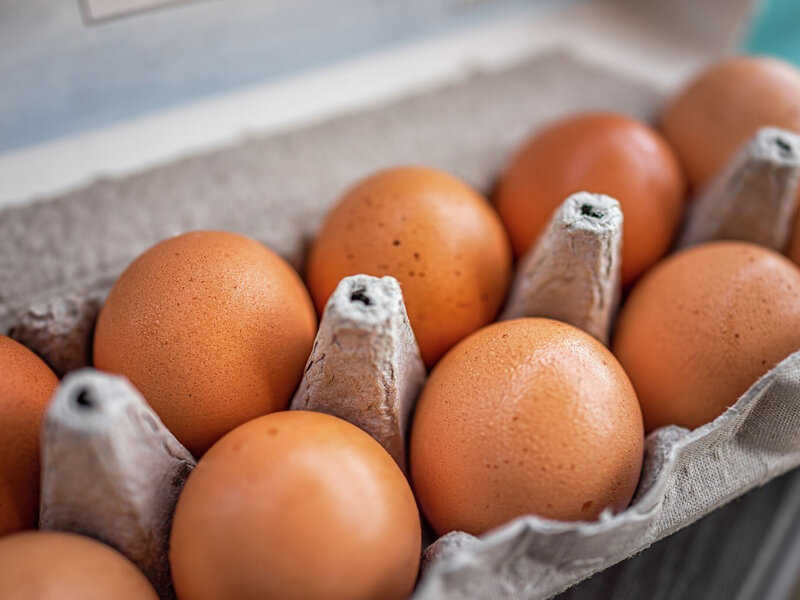Chicken Eggs